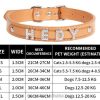 Diamond Letter PU Dog Collar Lace Decoration Simple Cute Style Training Pet Accessories Collars Features Nylon Animal