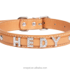 Diamond Letter PU Dog Collar Lace Decoration Simple Cute Style Training Pet Accessories Collars Features Nylon Animal